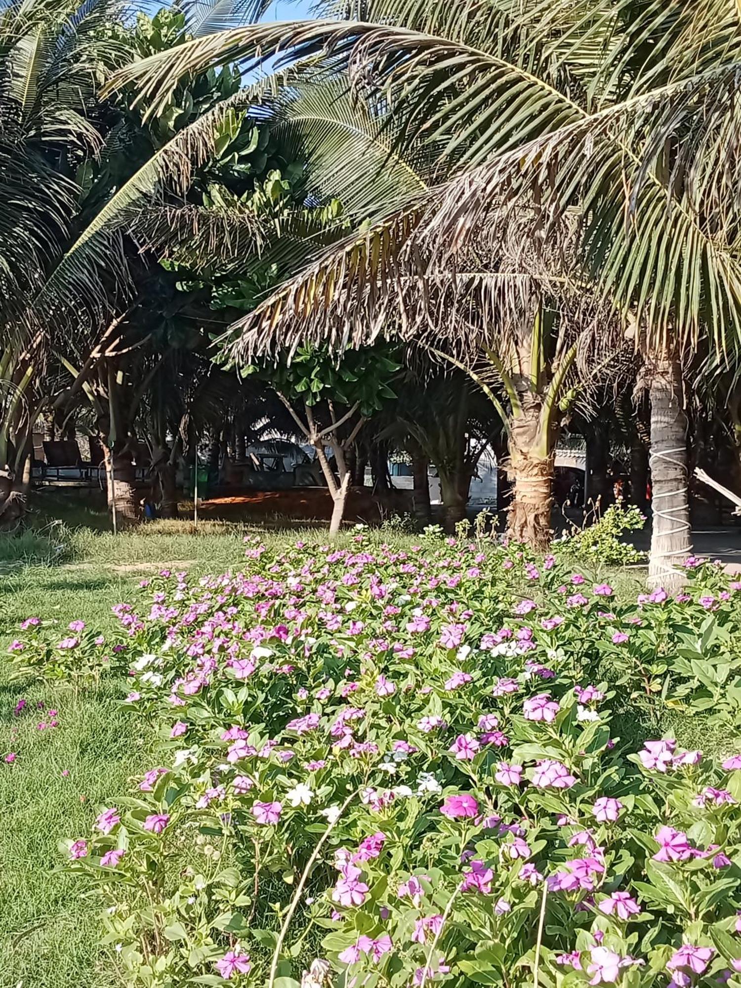 Bien Ngoc Homstay Phan Thiet Eksteriør bilde