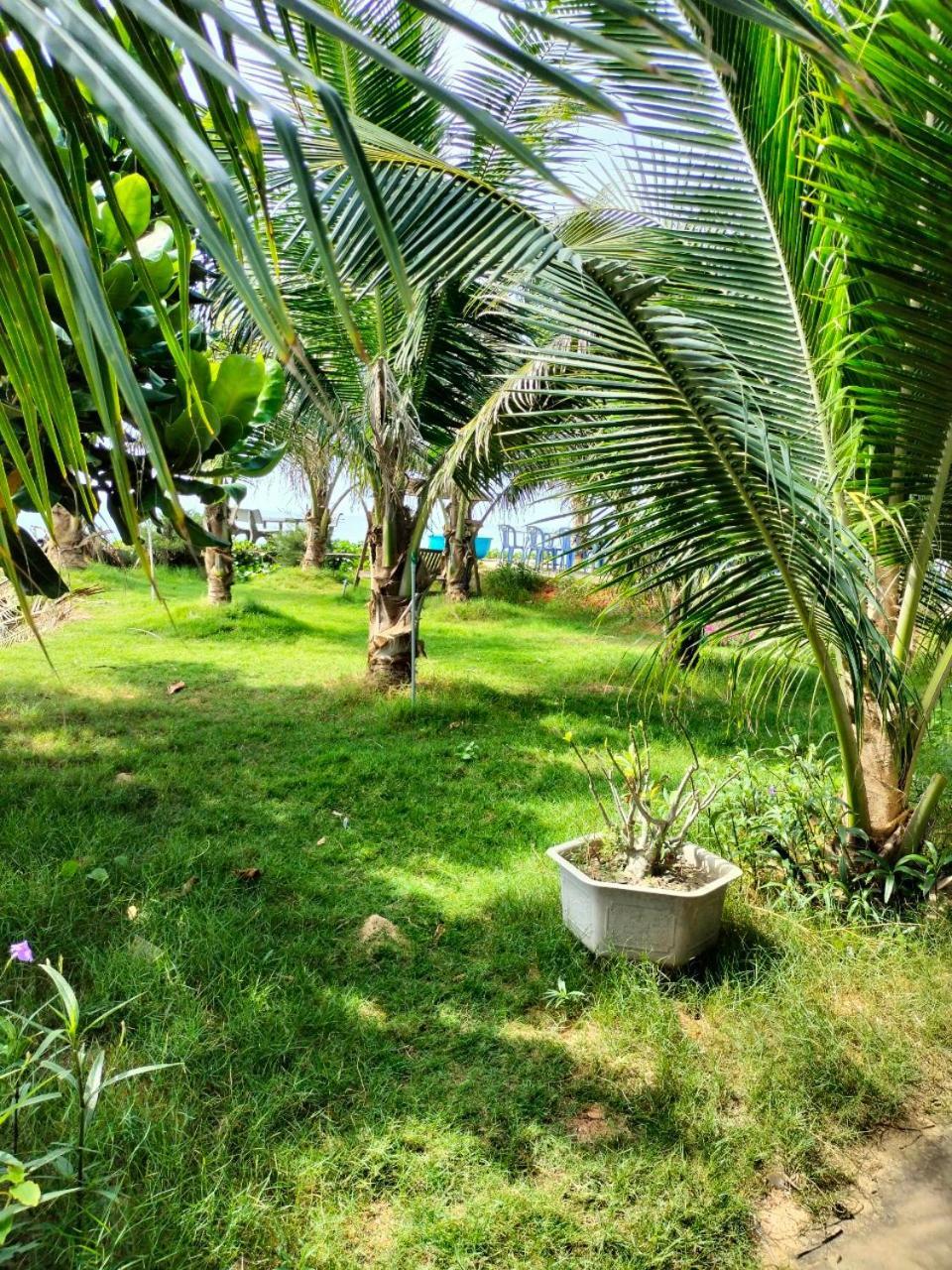 Bien Ngoc Homstay Phan Thiet Eksteriør bilde