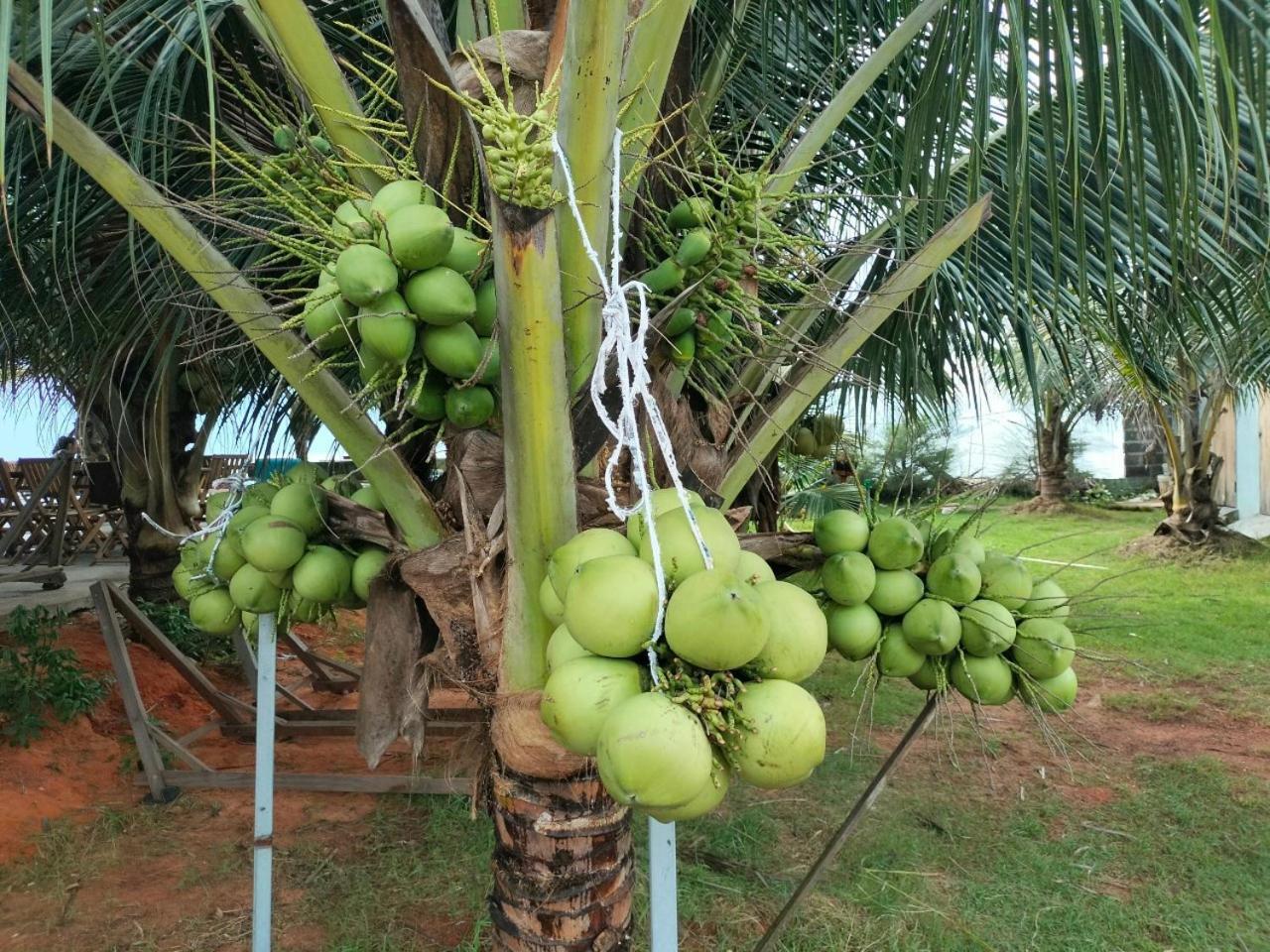 Bien Ngoc Homstay Phan Thiet Rom bilde