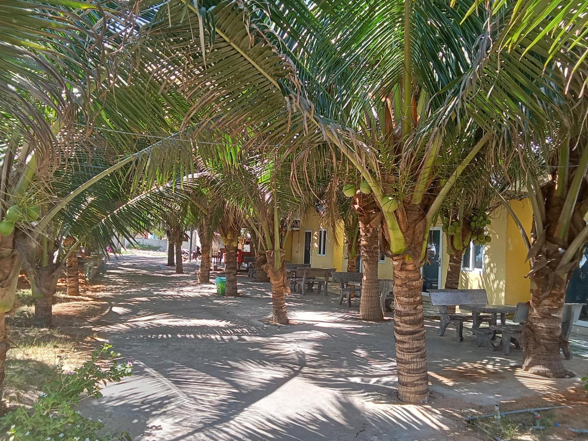 Bien Ngoc Homstay Phan Thiet Eksteriør bilde